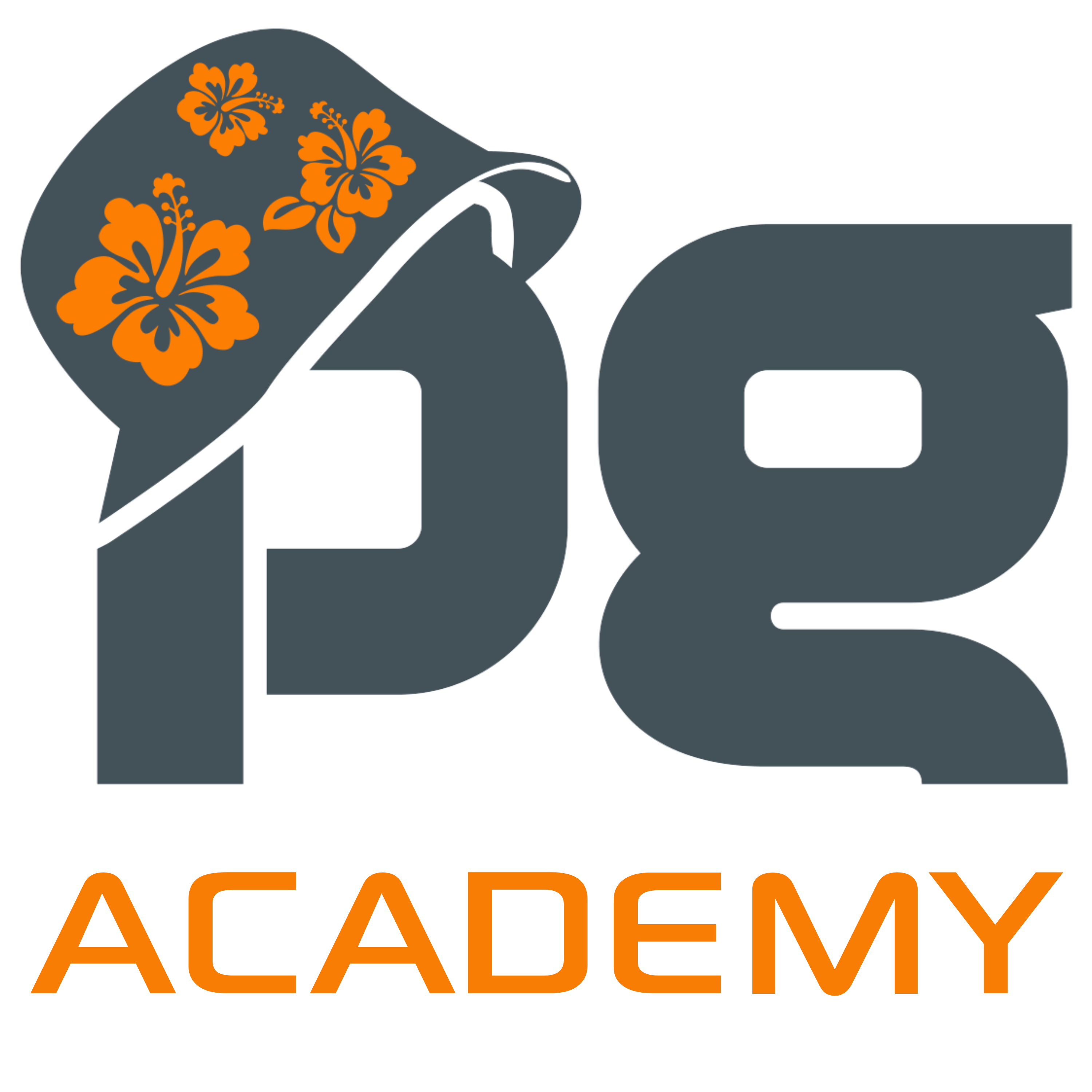 PG Academy